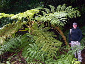 Img?dir=public%2fimages%2fphotos%2fgallery_16&src=pnhs5x7a06_p3035887_1