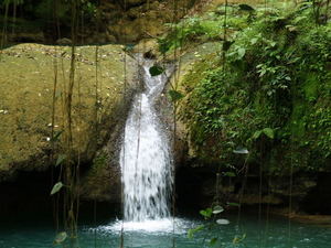 Img?dir=public%2fimages%2fphotos%2fgallery_19&src=vzpmsharmm_pc068952