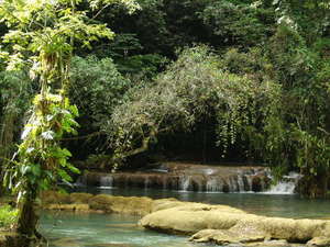 Img?dir=public%2fimages%2fphotos%2fgallery_19&src=juofxukp0g_pc068937