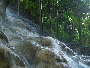 Img?dir=public%2fimages%2fphotos%2fgallery_19&src=uibmiy6ccv_pc079168
