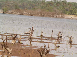 Img?dir=public%2fimages%2fphotos%2fgallery_20&src=wxoktmsabn_p3221908