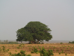 Img?dir=public%2fimages%2fphotos%2fgallery_20&src=dhnwvcfayt_p3231959