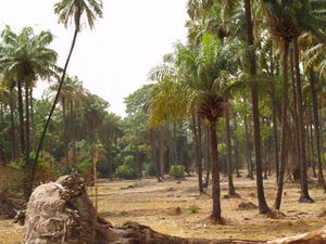 Img?dir=public%2fimages%2fphotos%2fgallery_20&src=emvviozw20_p3221920