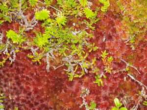 Img?dir=public%2fimages%2fphotos%2fgallery_21&src=6jwtzou611_p6283232
