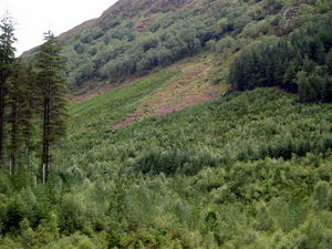 Img?dir=public%2fimages%2fphotos%2fgallery_21&src=6n3ydthgxl_p6293510