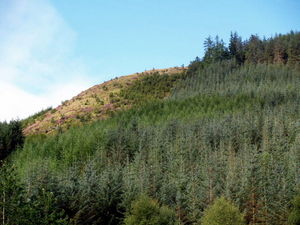 Img?dir=public%2fimages%2fphotos%2fgallery_21&src=lxbkdsscxa_p6283084