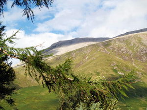 Img?dir=public%2fimages%2fphotos%2fgallery_21&src=rygqxyslhy_p6272990