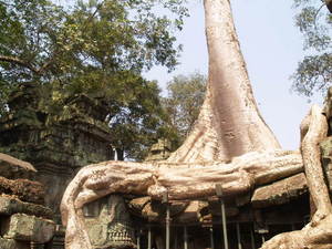 Img?dir=public%2fimages%2fphotos%2fgallery_24&src=la0hm4unq2_p1269454