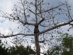 Img?dir=public%2fimages%2fphotos%2fgallery_25&src=qcol8qr0hi_picture_550