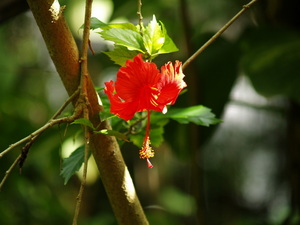 Img?dir=public%2fimages%2fphotos%2fgallery_25&src=safzkkiybn_picture_357