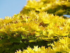 Img?dir=public%2fimages%2fphotos%2fgallery_27&src=8r7ihhrdiz_p7076121