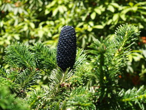 Img?dir=public%2fimages%2fphotos%2fgallery_27&src=kkps7c2hx4_p7086227