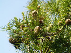Img?dir=public%2fimages%2fphotos%2fgallery_27&src=ycxwq0kk6k_p7076006