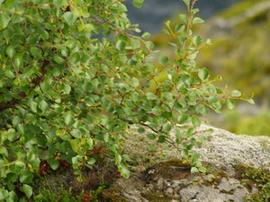 Img?dir=public%2fimages%2fphotos%2fgallery_28&src=lefyliwgou_p7276871_002