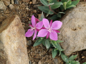 Img?dir=public%2fimages%2fphotos%2fgallery_28&src=o4z0oz2nsj_p7297563_001