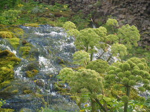 Img?dir=public%2fimages%2fphotos%2fgallery_28&src=y1vgukprao_p7276865_001