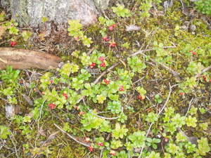 Img?dir=public%2fimages%2fphotos%2fgallery_30&src=jvk5yqkhie_p8281264
