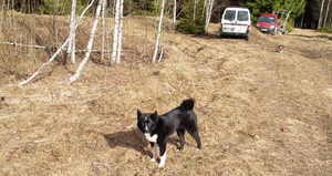 Img?dir=public%2fimages%2fphotos%2fgallery_31&src=mhxobeo2zd_p4096356