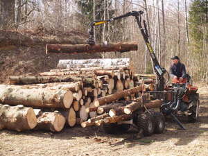 Img?dir=public%2fimages%2fphotos%2fgallery_31&src=ysjlmfn2zd_p4096340