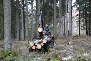 Img?dir=public%2fimages%2fphotos%2fgallery_31&src=lybezmi3df_my5a1203