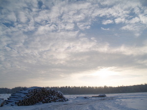 Img?dir=public%2fimages%2fphotos%2fgallery_31&src=u8giogkusv_p1164928