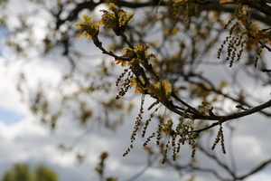 Img?dir=public%2fimages%2fphotos%2fgallery_32&src=tijjqfwzhr_my5a1359