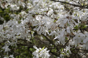 Img?dir=public%2fimages%2fphotos%2fgallery_32&src=lbxrpglppk_my5a1379